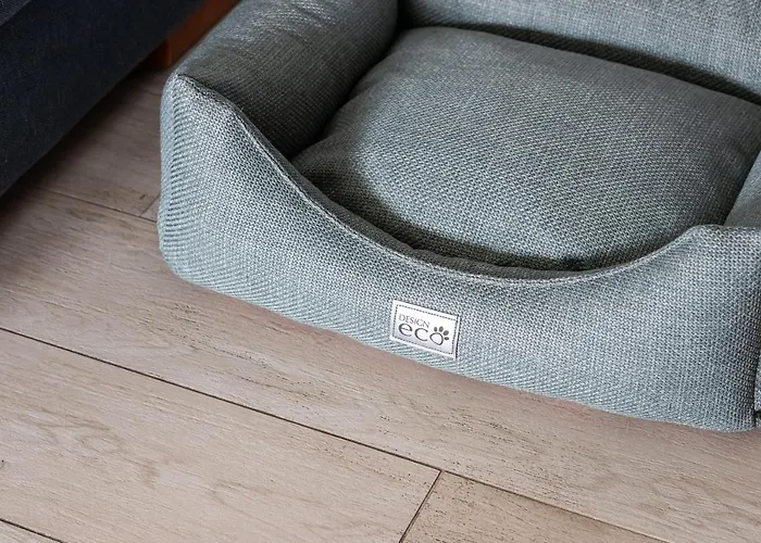 Lägenhet With Garden Wolkowyska By Renters *